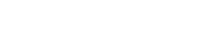 Zettawise Consulting Trademark Logo